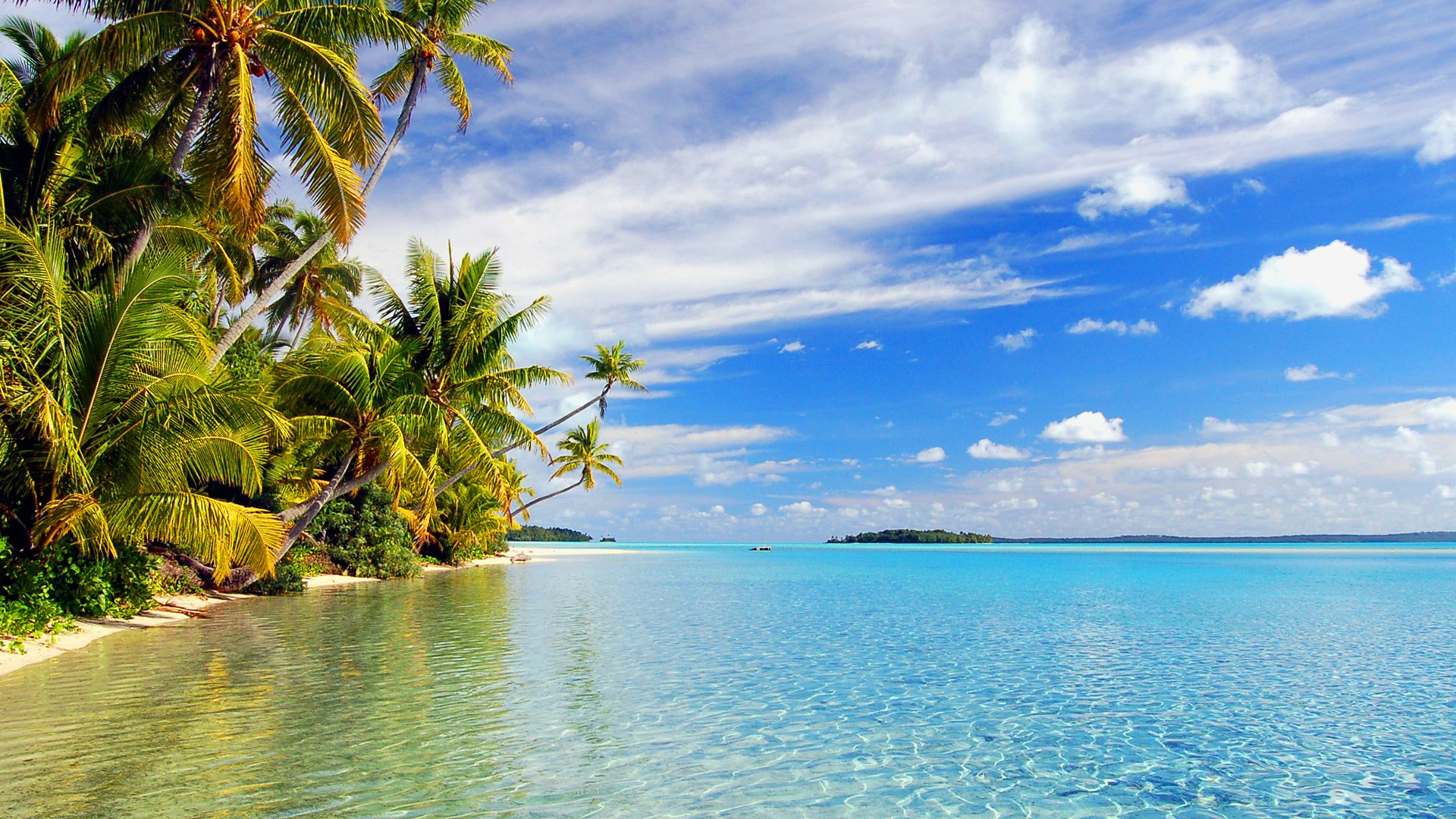 hawai1